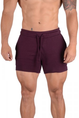 Young LA 102 Bodybuilding French Terry Shorts Purple | Australia VWGSR-1867