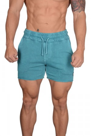 Young LA 102 Bodybuilding French Terry Shorts Aqua | Australia JIDNW-0397