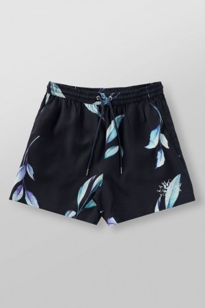 Young LA 1038 - Lah Casa Shorts Black | Australia ALOYU-8957