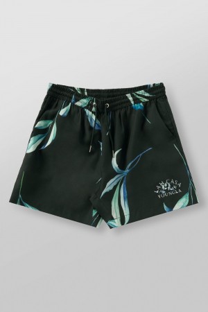 Young LA 1038 - Lah Casa Shorts Green | Australia GFPHT-2154