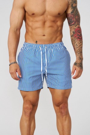 Young LA 1056 - Striped Swim Shorts Blue | Australia QWTHU-6854