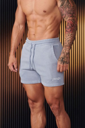 Young LA 107 - Chrome Shorts Light Grey | Australia GEXUH-8750