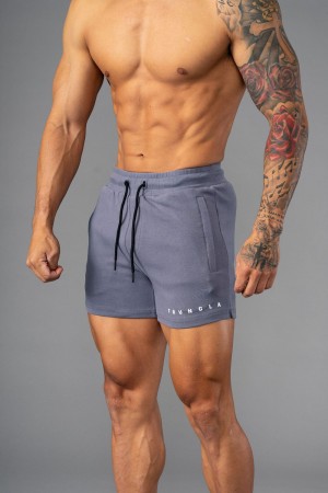 Young LA 113 The Perfect Short Shorts Grey | Australia PUCFE-9438