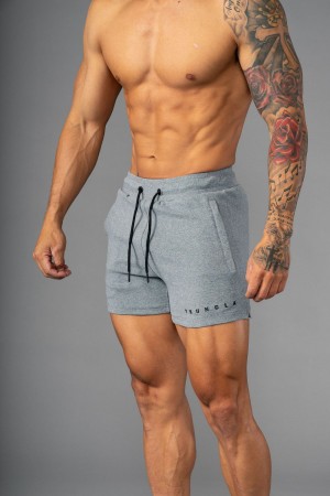 Young LA 113 The Perfect Short Shorts Light Grey | Australia DMHSV-9782