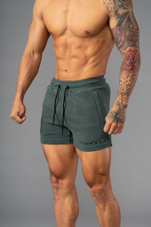 Young LA 113 The Perfect Short Shorts Olive | Australia IMNCR-0816