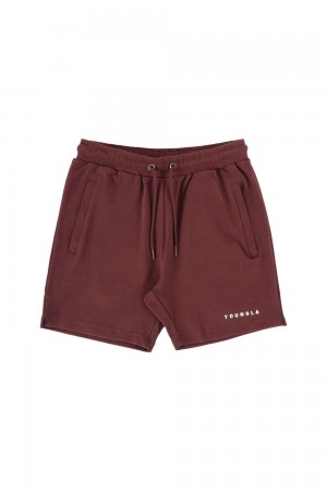 Young LA 118 The Perfect Shorts Burgundy | Australia WGPLC-3452