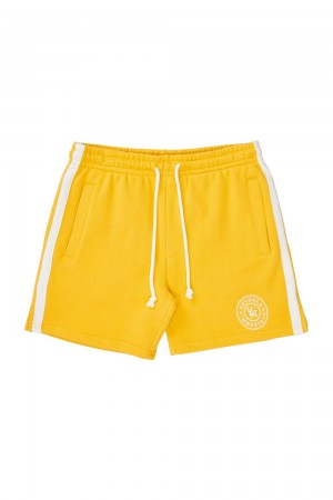 Young LA 137 - Golden Era Bodybuilding Shorts Yellow | Australia RLZHG-6832