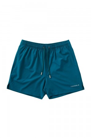 Young LA 140 Frooty Swim Shorts Teal | Australia YUSRX-2534