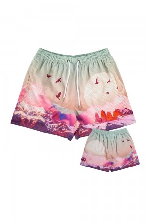 Young LA 141 The Block Party Shorts Multicolor | Australia XNFDG-1073