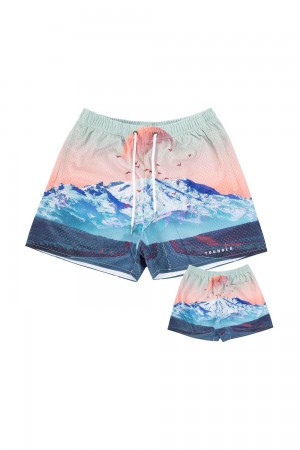 Young LA 150 After Party Shorts Multicolor | Australia EPFRG-4532