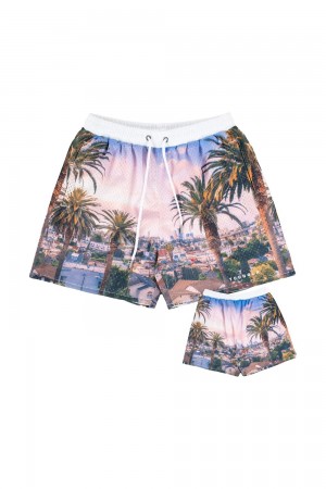 Young LA 150 After Party Shorts Multicolor | Australia VLPMN-7213