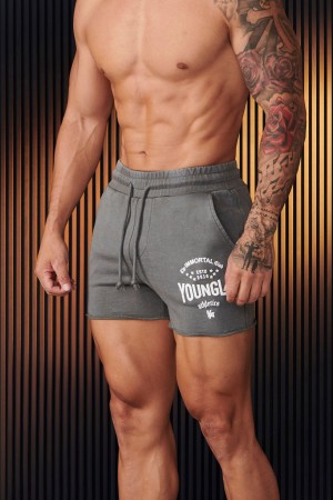 Young LA 152 - Immortal Shorts Grey | Australia ZWQEC-3412