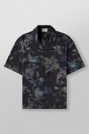 Young LA 4006 - Miami Sunset Shirts Multicolor | Australia LQTSU-7862