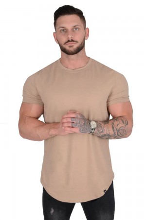 Young LA 402 Perfect Tee - Scallop Bottom Beige | Australia VMEIY-4578