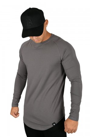 Young LA 410 Perfect Raglan Long Sleeve Shirts Grey | Australia FGUYK-3267