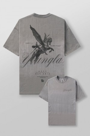 Young LA 4118 - Warrior Tees Grey | Australia RSPQV-3087