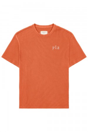 Young LA 427 Summer Waffle Tees Orange | Australia RVWJE-8063