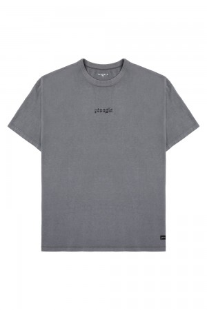 Young LA 471 Chrome Tees Grey | Australia NRSEO-1832