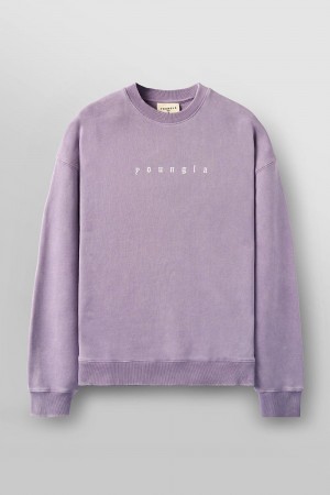 Young LA 5099 - Love Sets - Crewnecks Purple | Australia IFGJV-0521