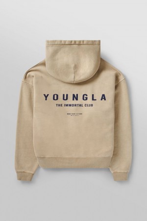 Young LA 533 - Immortal Club Hoodies Beige | Australia TRPUG-2897