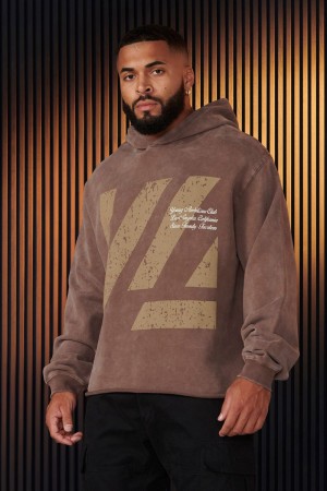 Young LA 568 - Icon Washed Hoodies Brown | Australia RHFWJ-1047