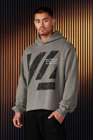 Young LA 568 - Icon Washed Hoodies Grey | Australia ZYHGO-7028