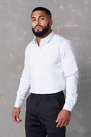 Young LA 803 - Formal Dress Shirts White | Australia UDEGZ-4108