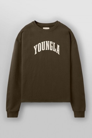 Young LA 826 - Uni Crewneck Brown | Australia VTGWL-0764