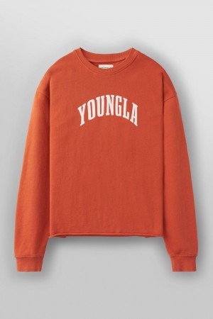 Young LA 826 - Uni Crewneck Orange | Australia DIQTP-9785