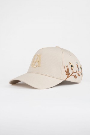 Young LA 918 La Branch Hats Beige | Australia FPUXW-3187