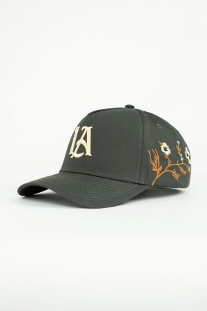 Young LA 918 La Branch Hats Olive | Australia MGCZN-4831