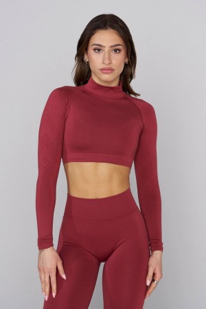 Young LA W445 Seamless Curve Longsleeve Crop Red | Australia JVMIA-4961